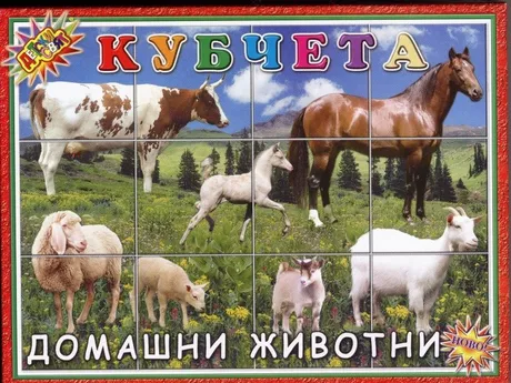 Кубчета с Домашни животни ПВЦ Детски свят 