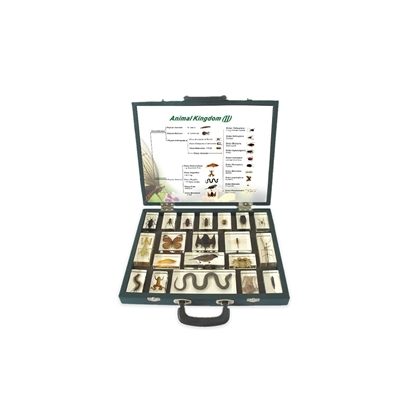 Nowa Szkola Куфар с животински екземпляри, 20 броя
