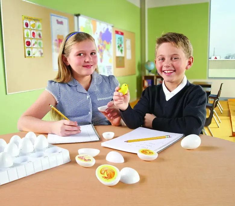 Жизнен цикъл на пиле, яйца,  Learning Resources LER 2733