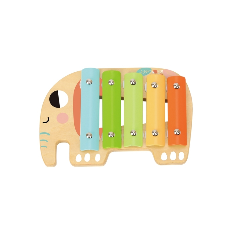 Цветен детски музикален комплект Tooky toy