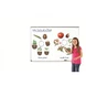 Циклите от живота на растенията - магнитни, Learning Resources, LER 6045
