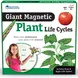 Циклите от живота на растенията - магнитни, Learning Resources, LER 6045
