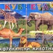 Кубчета Дет. свят ПВЦ с африкански животни 