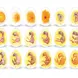 Жизнен цикъл на пиле, яйца,  Learning Resources LER 2733