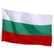 Знаме на България, 40 х 60 cm