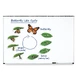 Циклите от живота на пеперудата, Learning Resources, LER 6043
