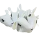 ШАПКА АГЪНЦЕ