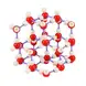 Gelsonlab Комплект Молекулярна структура на лед