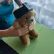 Биофийдбек система за фина моторика с компютърни игри
