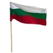 БЪЛГАРСКО ЗНАМЕ