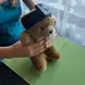 Bo Bo безжична Биофийдбек система за тренировка на фината моторика с компютърни игри
